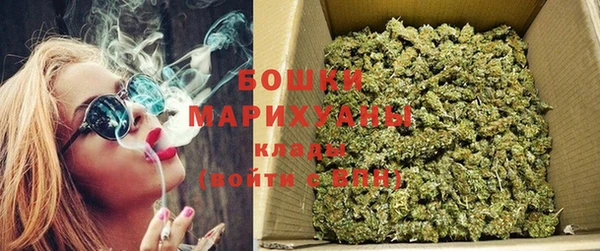 дмт Горно-Алтайск
