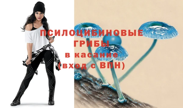 хмурый Горняк
