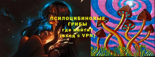 прущие грибы Володарск