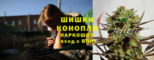 ПСИЛОЦИБИНОВЫЕ ГРИБЫ Бородино