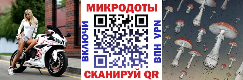 shop телеграм  сколько стоит  Жиздра  Псилоцибиновые грибы Psilocybe 